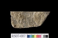 藏品(具有褶曲現象之片岩)的圖片